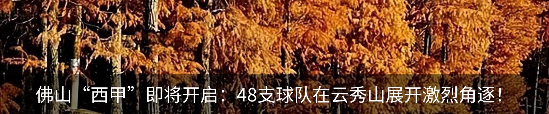 最新动态